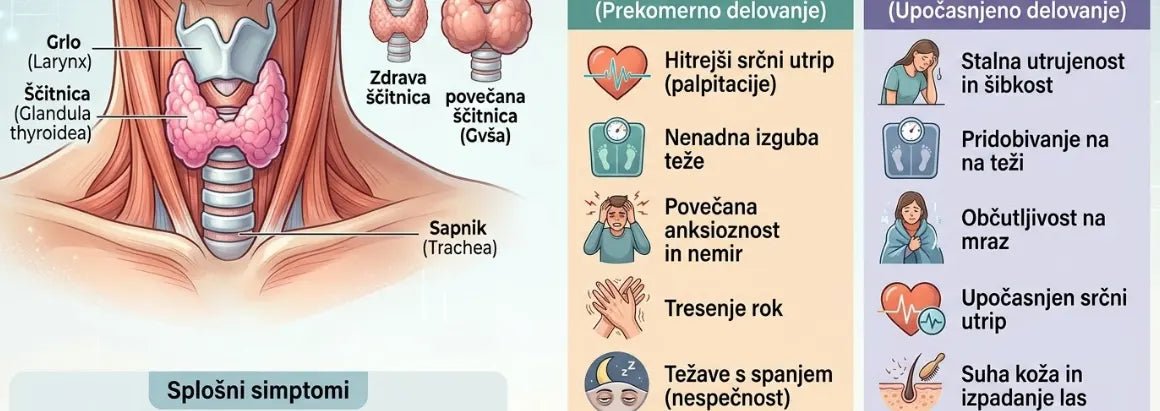 tezave s scitnico