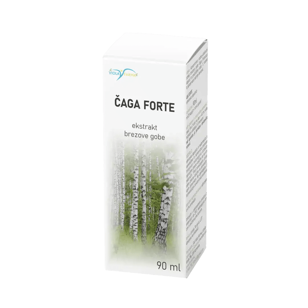Čaga forte: brezina goba