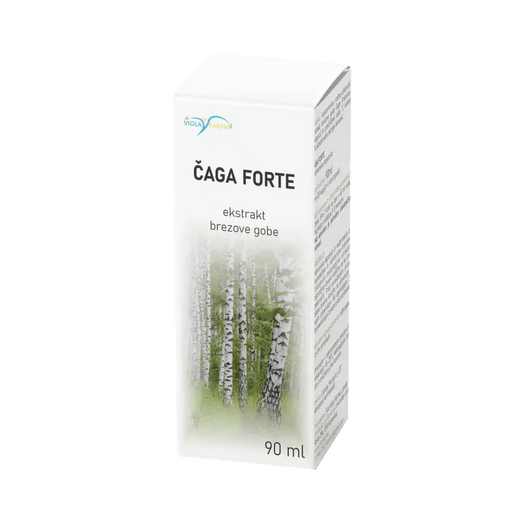 Čaga forte: brezina goba