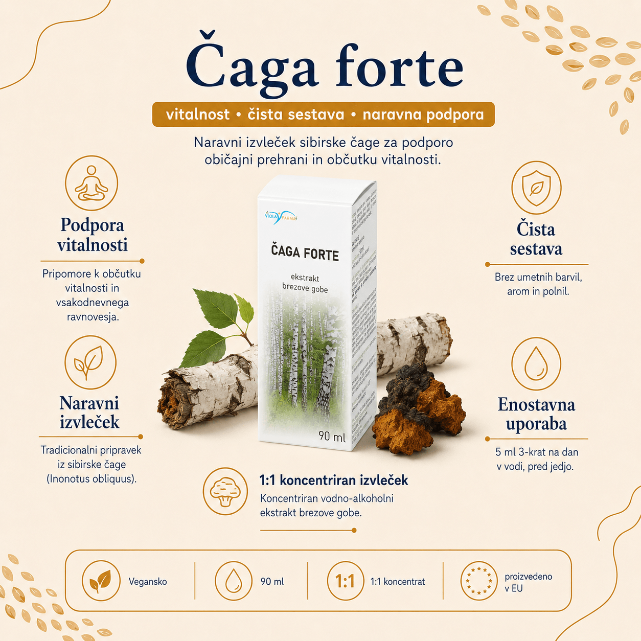 Čaga forte: brezina goba