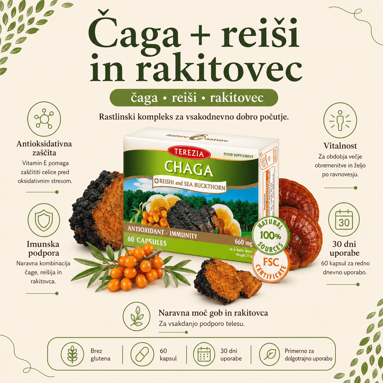 Čaga z reiši in rakitovcem