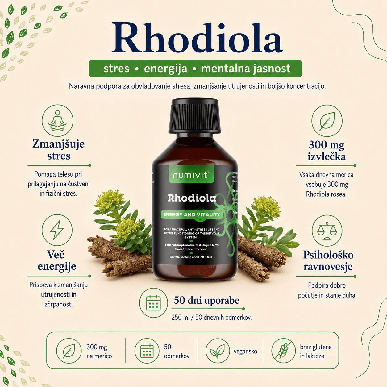 Rhodiola (rožni koren) v tekočini