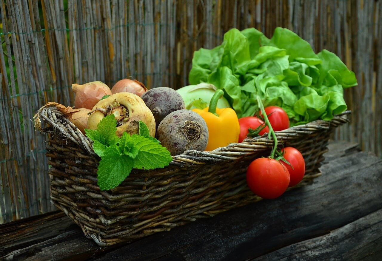 Uživanje zelenjave in sadja zmanjšuje tveganje za raka - ne pozabite na raznolikost