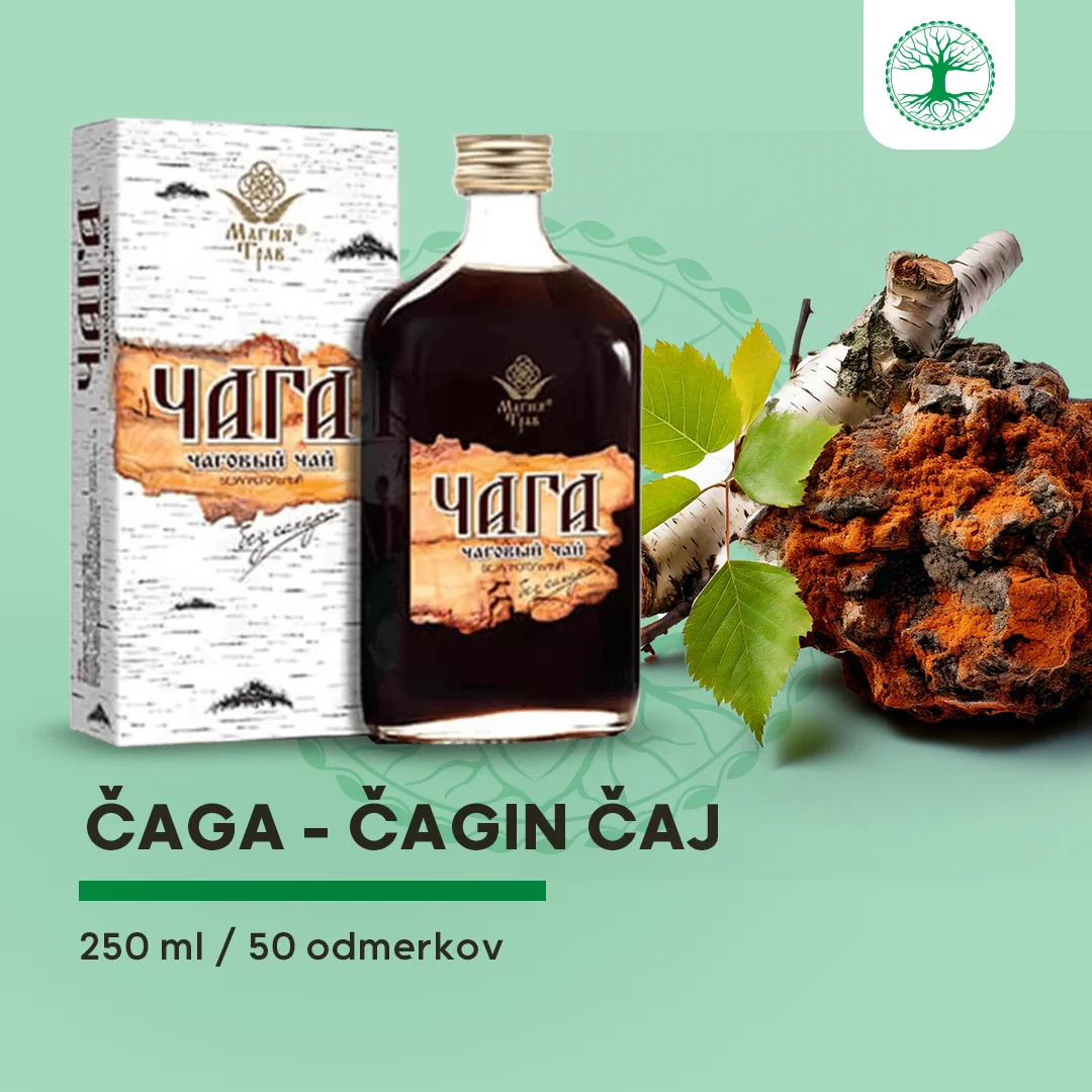 ČAGA - Čagin čaj