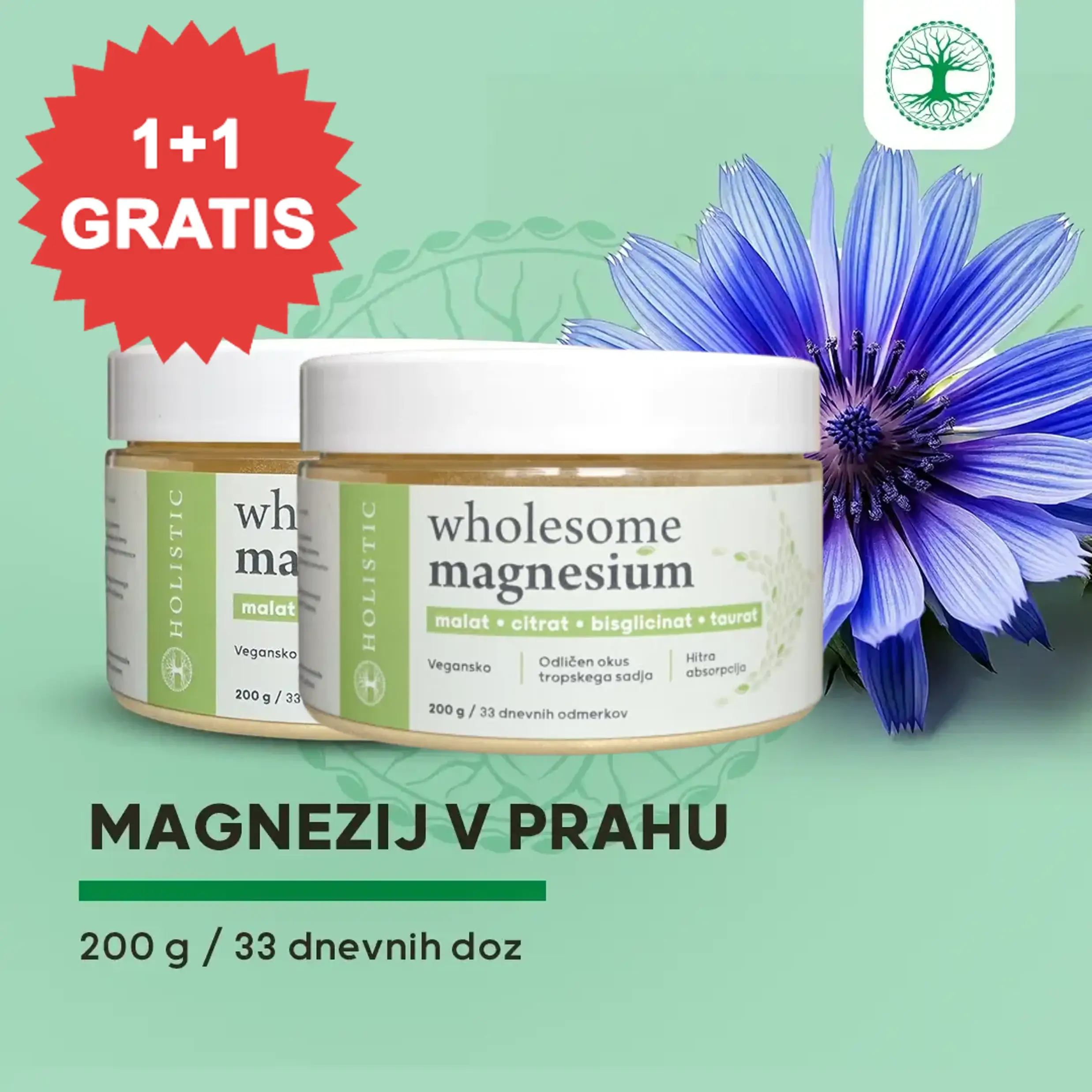 Magnezij - Wholesome Magnesium 1+1 GRATIS