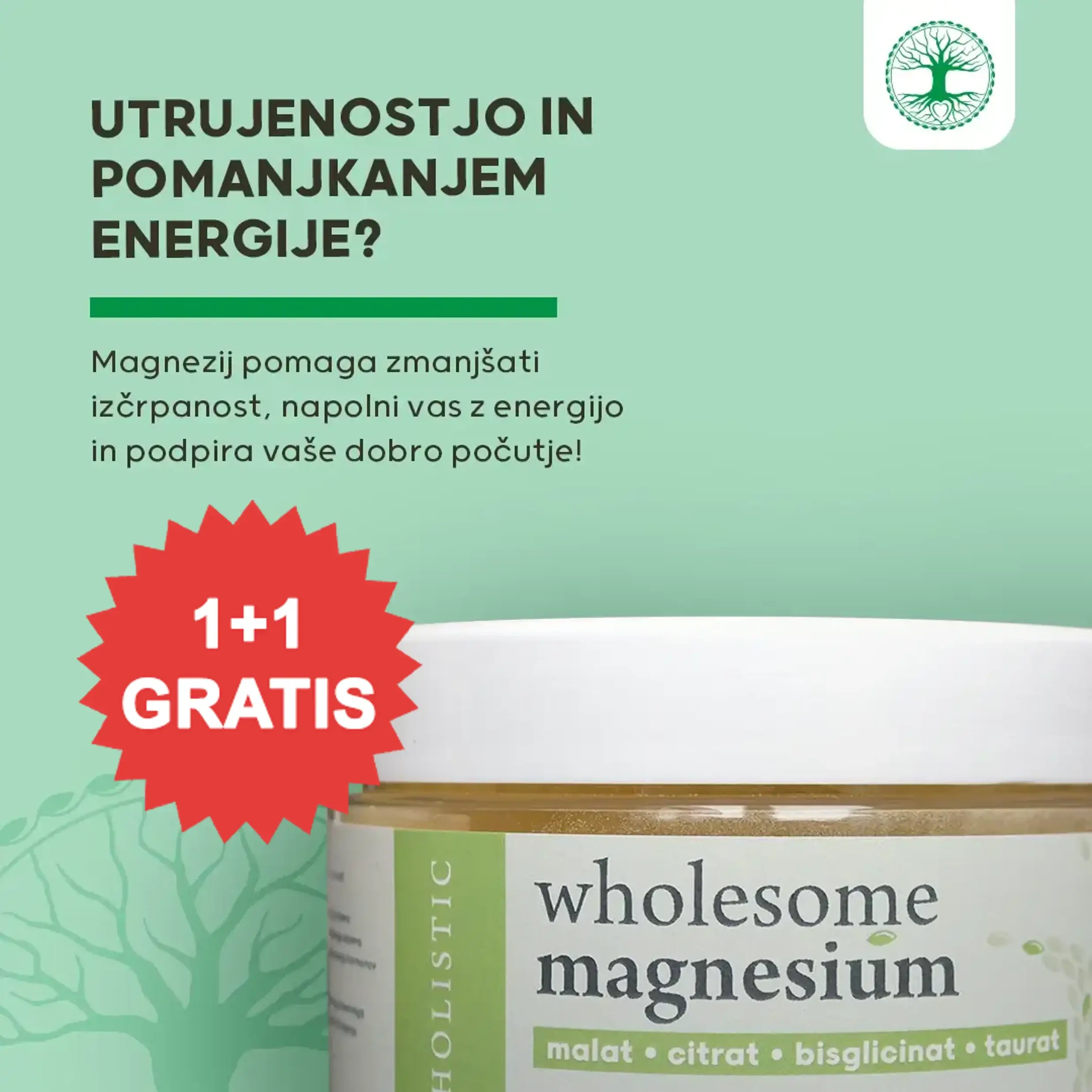 Magnezij - Wholesome Magnesium 1+1 GRATIS