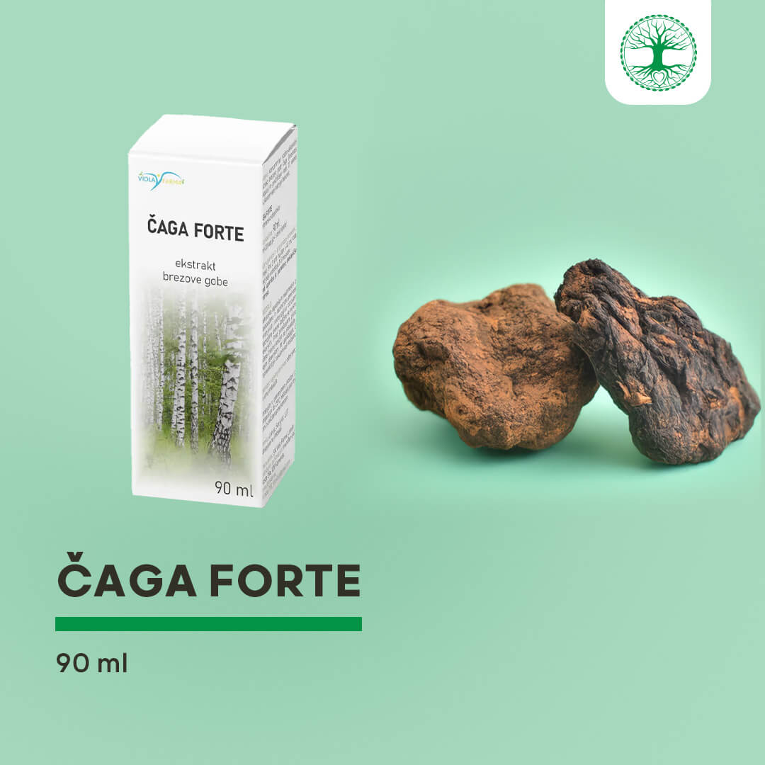 Čaga forte