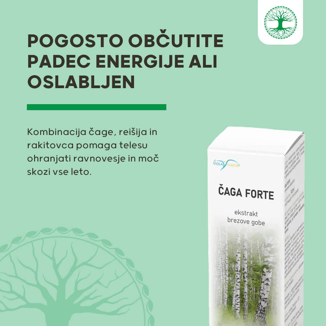 Čaga forte