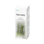 Čaga forte - brezina goba