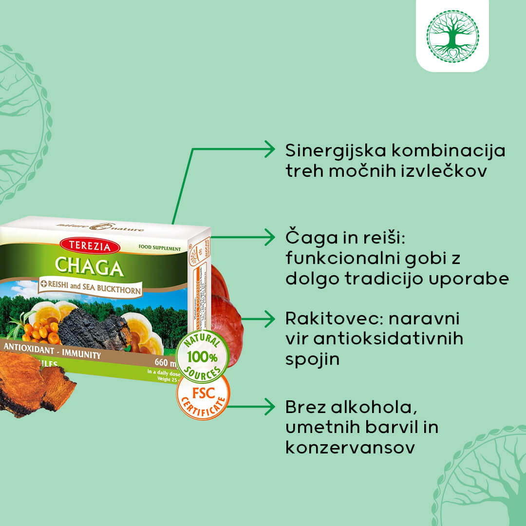 Čaga + reiši in rakitovec