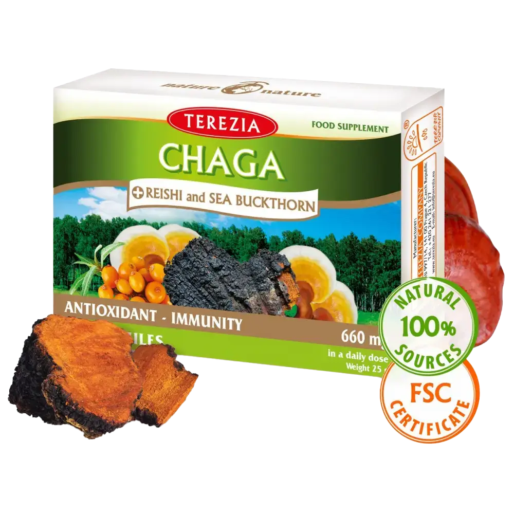 Čaga + reiši in rakitovec