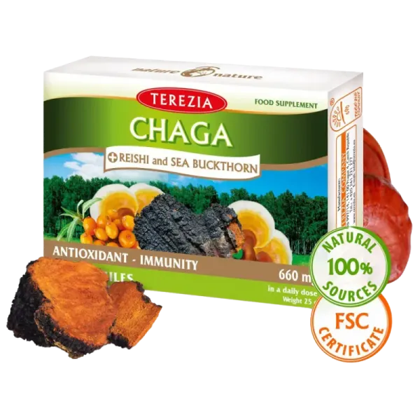 Čaga + reiši in rakitovec