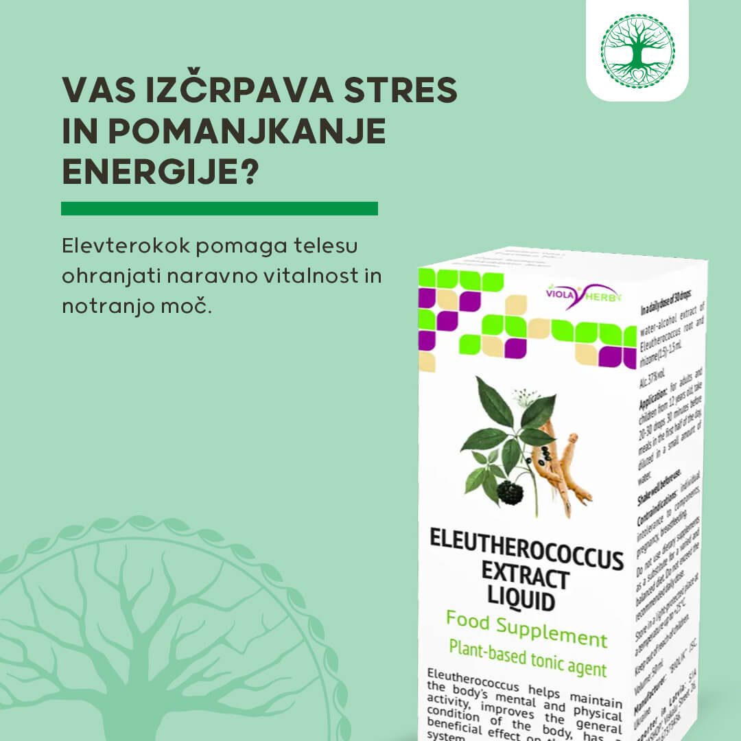 Elevterokok v tekocini