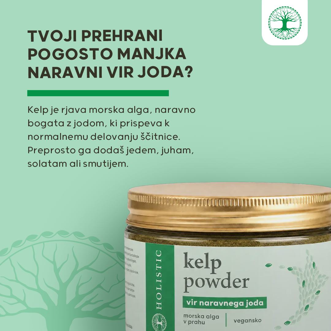 Kelp