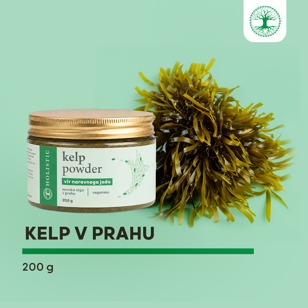 Kelp