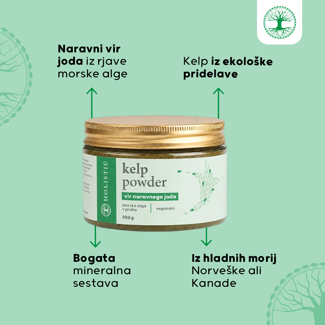Kelp