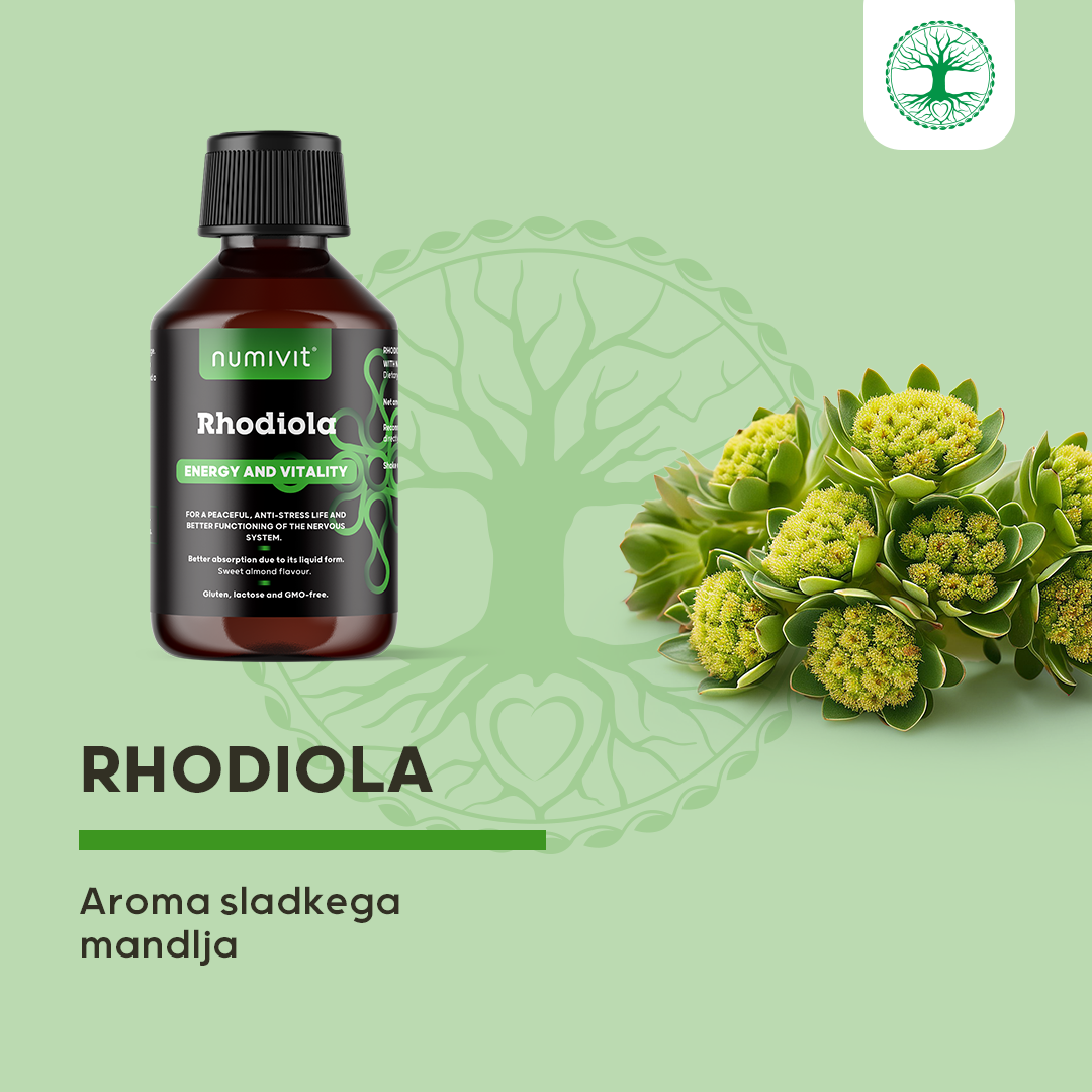 Rhodiola (Rožni koren) v tekočini