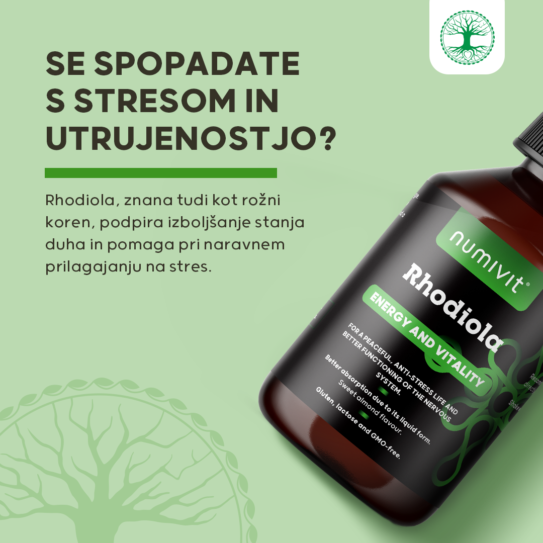 Rhodiola (Rožni koren) v tekočini