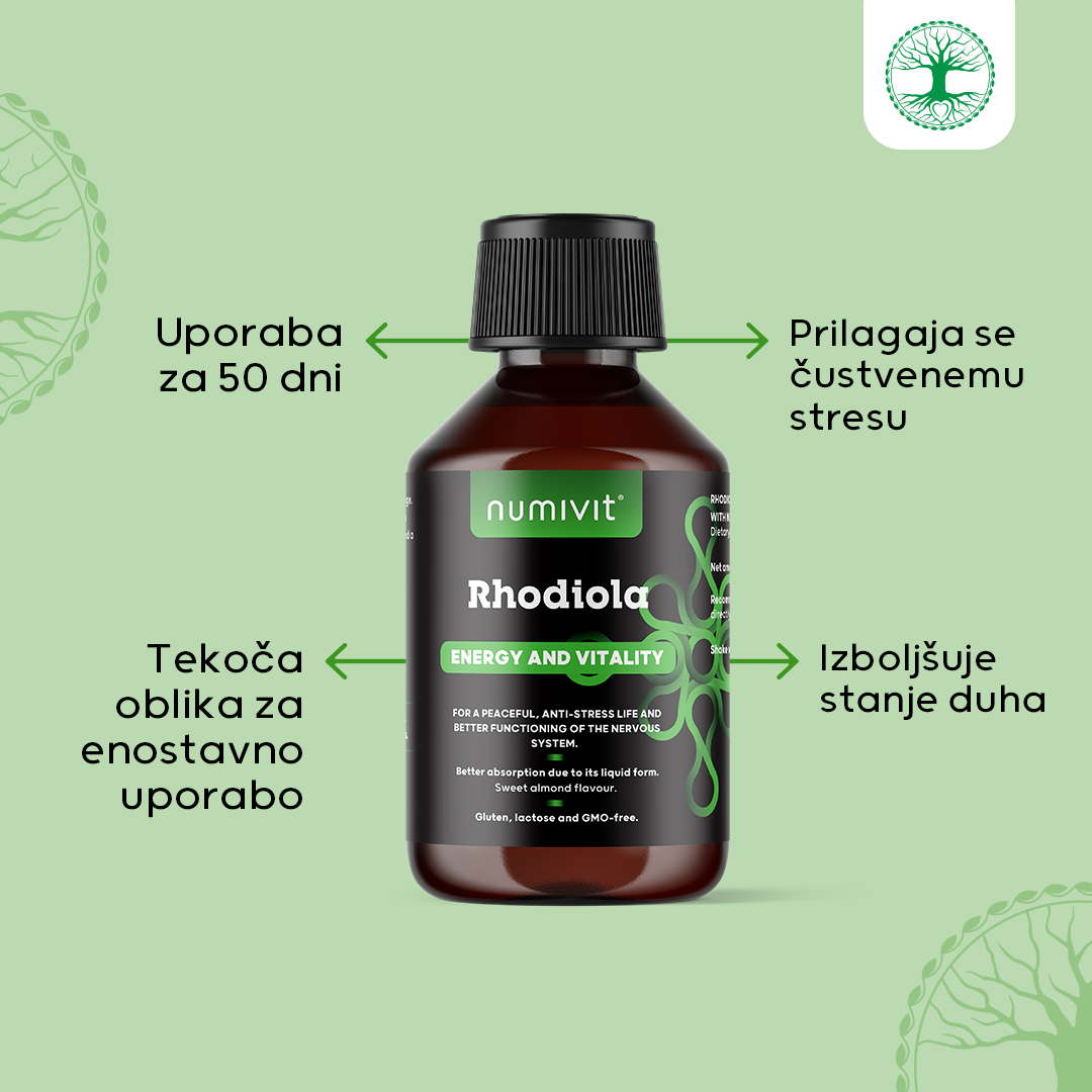 Rhodiola (Rožni koren) v tekočini