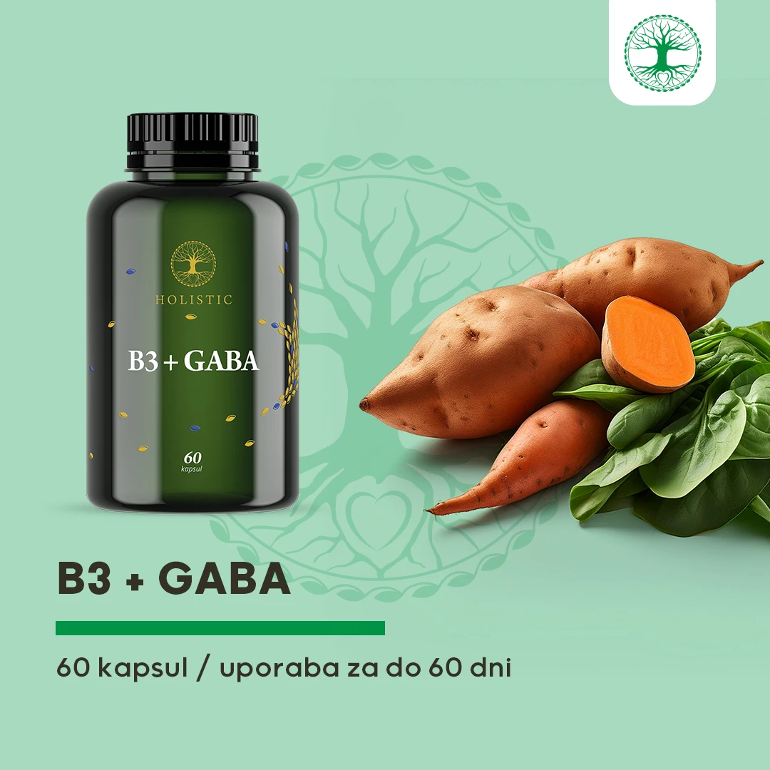 B3 + Gaba