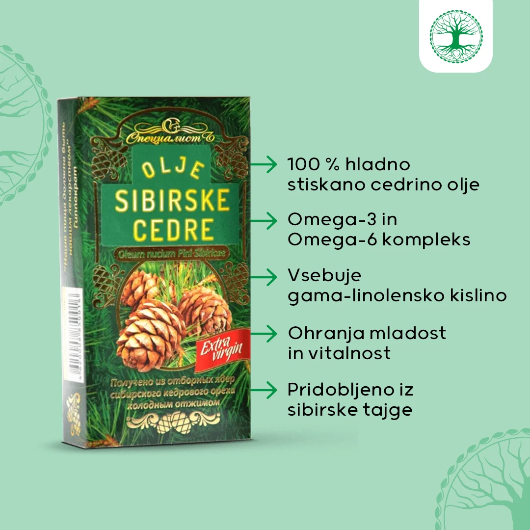 Olje sibirske cedre