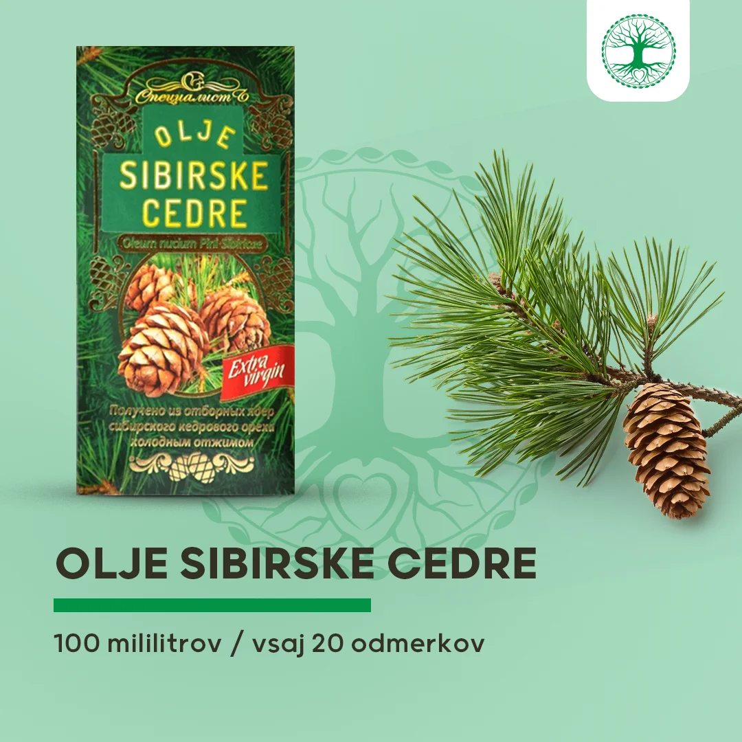 Olje sibirske cedre