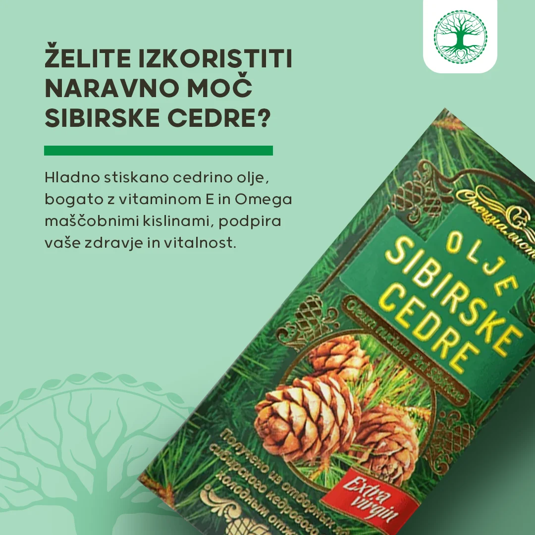 Olje sibirske cedre