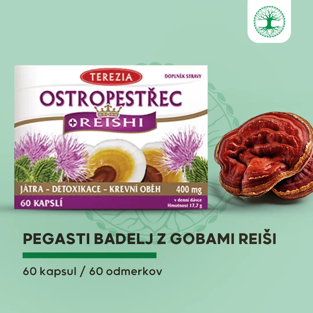 Pegasti badelj z gobami reiši