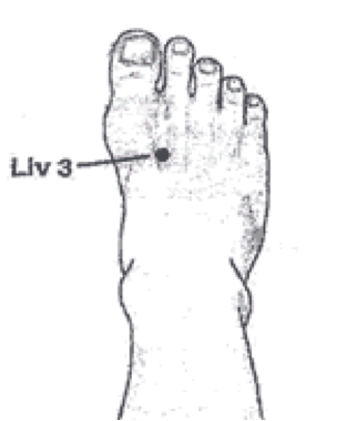 LIV3